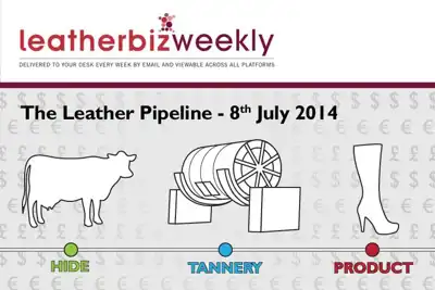 Leather Pipeline: Biggest players are eroding natural market forces