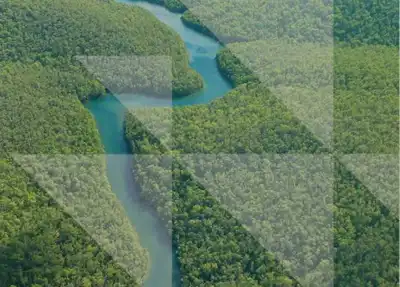 2014 the year of deforestation-free supply chains, report says