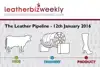 Leather Pipeline: Shoe tanners moving into automotive sector will increase competition
