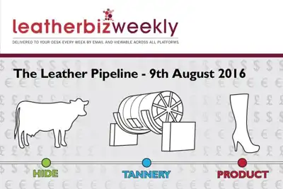Leather Pipeline report says leather is no longer “needed”