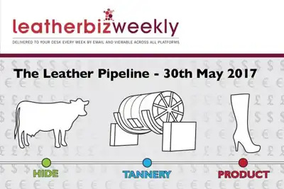 Leather Pipeline: JBS’s problems could reverberate through supply chain