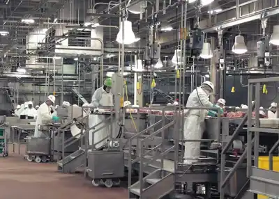 New internal structure for Tyson