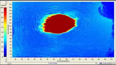Sound waves could help identify flaws in hides