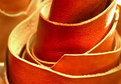 Overseas delegations tap Italian tanners for ideas