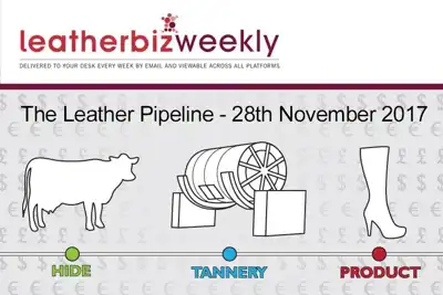 Leather Pipeline: Chinese tanners brace for more shutdowns