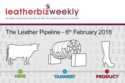 Leather Pipeline: Bright future for Indian leather industry
