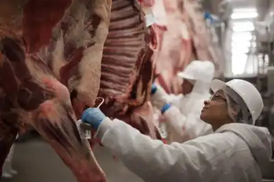Mercosur beef exports up by 6% in first half of 2018