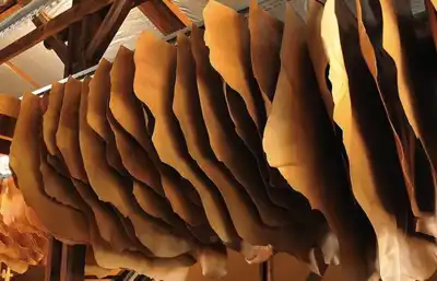 CTC says budget cut would affect entire French leather sector