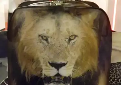 Maitan wildlife bags catch the eye at Tanning Tech