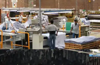 Challenges ahead for Mexico’s automotive and footwear tanners