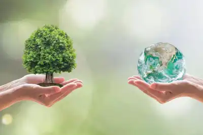 Arzignano shows the way forward for circular-economy leather