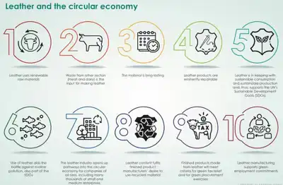 World Leather announces major new collection of articles on Leather and the Circular Economy