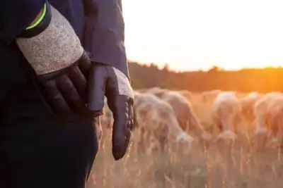 Larzac glove from Maison Fabre highlights local materials