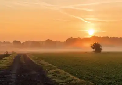 Circular economy horizons