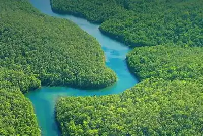 Nothing to Hide: Issues of deforestation