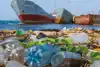 Alternative materials to leather: environmental impacts and cost