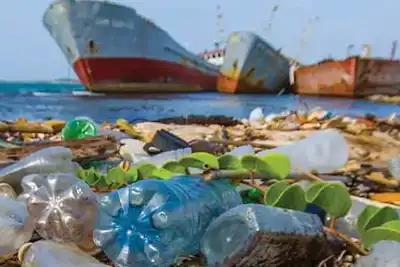 Alternative materials to leather: environmental impacts and cost