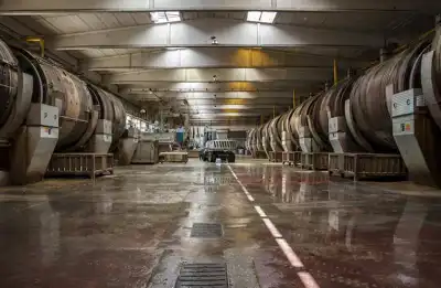 Pasubio CEO says Italian tanners must think nationally
