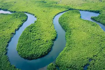 Action to keep the leather value chain deforestation-free
