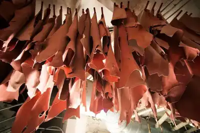 CNC president says leather is a model for the circular economy