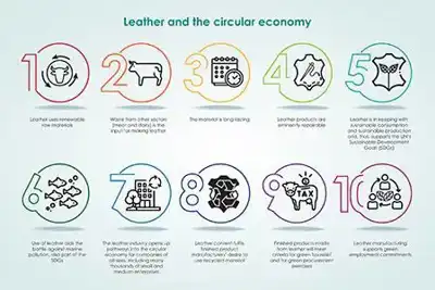 Time to tell leather’s circular story