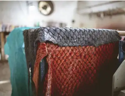 Fish skin tannery says sustainable practices are transforming stocks