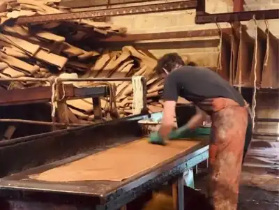 Oak bark tanner celebrates individuality of hides