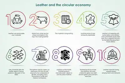 Industry challenges Veja’s leather decision