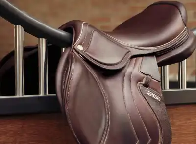 French saddlemaker eyes digital transformation
