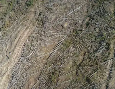 LWG accelerates traceability initiatives