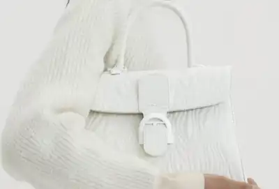 Festive Delvaux bags feature new effects