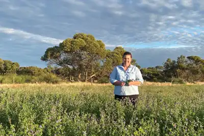 Australian project shows rotational grazing boosts soil carbon