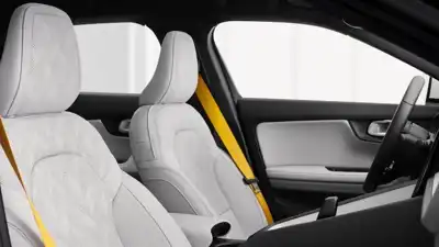 New leather supplier meets all of Polestar’s requirements