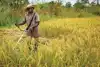 Fertiliser matters