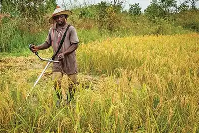 Fertiliser matters