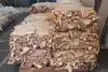 Leather and the circular economy