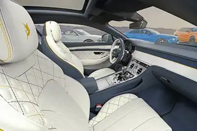 A record year for luxury car brands