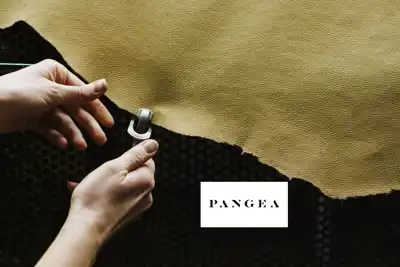 Pangea publishes first sustainability report