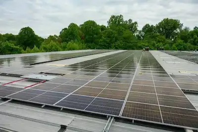 Moore & Giles transitions to solar power
