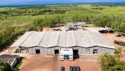 Brazilian companies launch cattle-tracing scheme