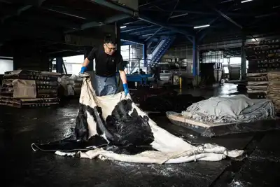 Tokyo exhibition highlights leather through photography