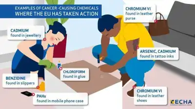 CTC criticises ECHA representation of leather