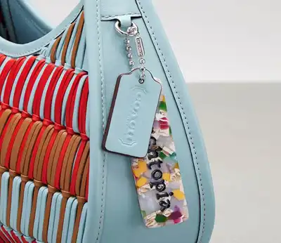 Tapestry-Capri deal faces FTC hurdle