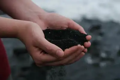 Study reveals leather’s superior biodegradability