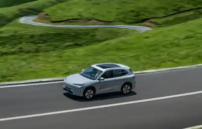 China: Automotive tanners are pleased by NEV growth