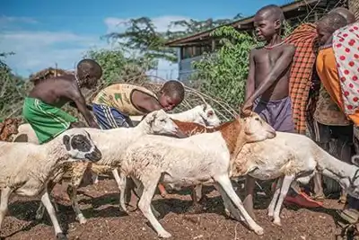 A key for tackling hunger