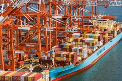 Hide exports could be hit by US ports strike