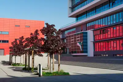 Leather helps Puma sustainable materials strategy
