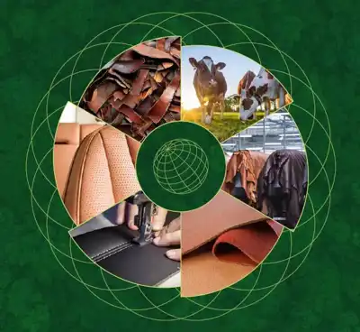 LWG publishes LCA report