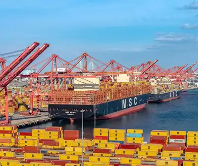 Market Intelligence: Tariffs to affect every aspect of the leather supply chain